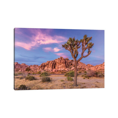 Joshua Tree in the Evening 1 Piece Wrapped Canvas Wall Art