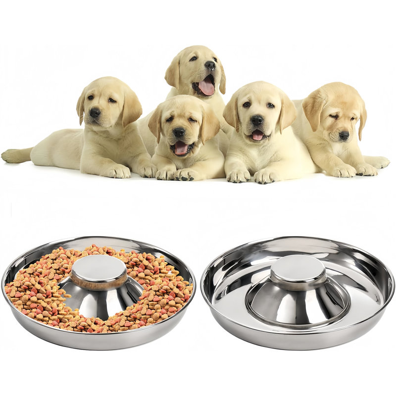 Ensemble de 2 bols d'eau en acier inoxydable pour chien, 64 oz liquides