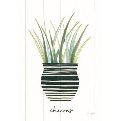 Herb Garden VI 1 Piece Wrapped Canvas Wall Art