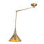 Evie Swing Arm Sconce-18980013
