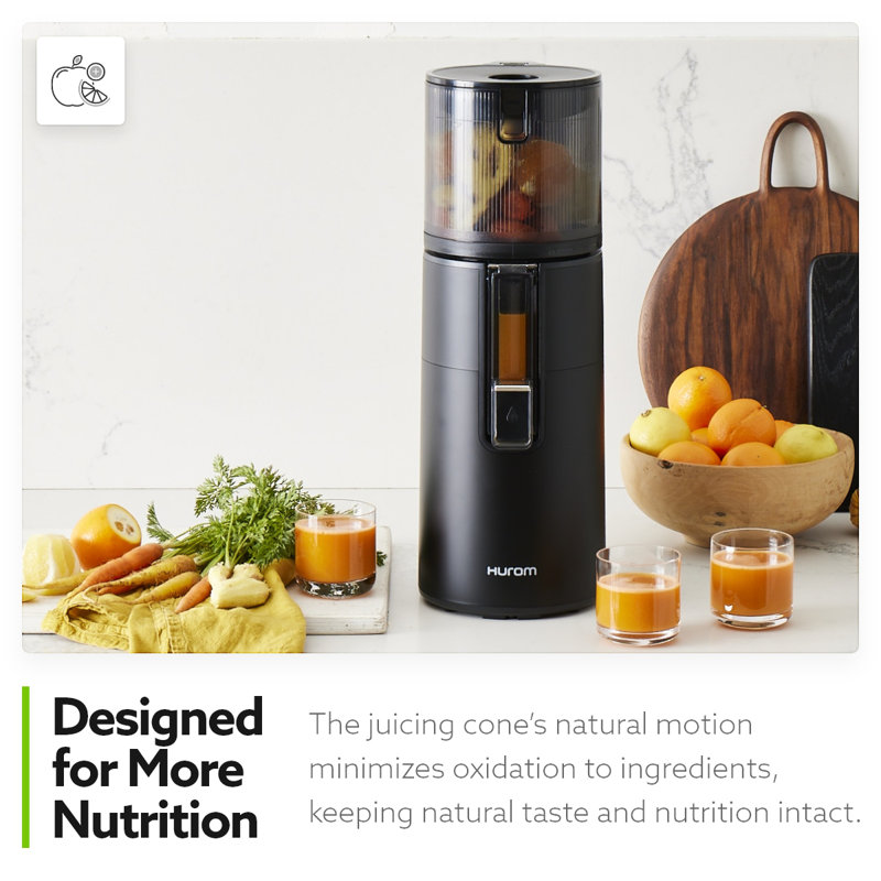 Hurom H400 Two Tone Easy Clean Slow Juicer