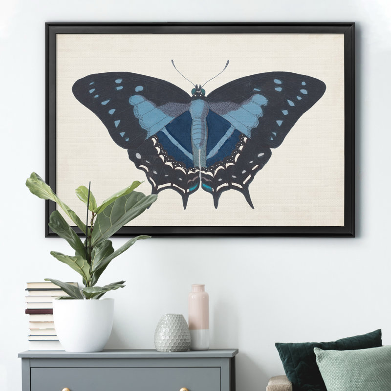 «Beautiful Butterfly III», impression sur toile encadrée, Noir, H 18,5 po x l 24,5 po x P 1,5 po
