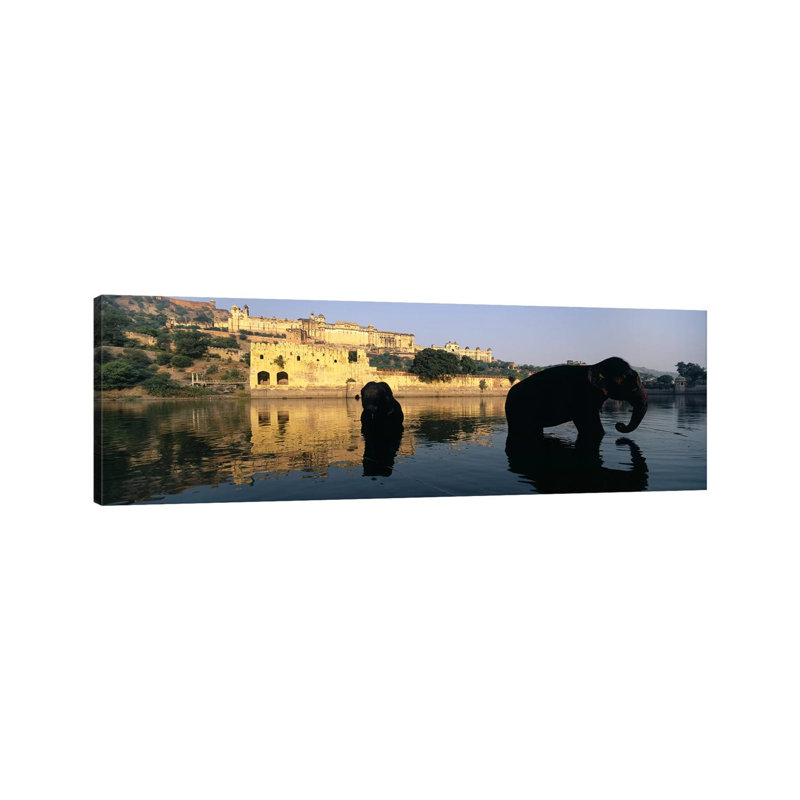 Silhouette Of Two Elephants In A River, Amber Fort, Jaipur, Rajasthan, India by Panoramic Images - Wrapped Canvas Panoramic Print