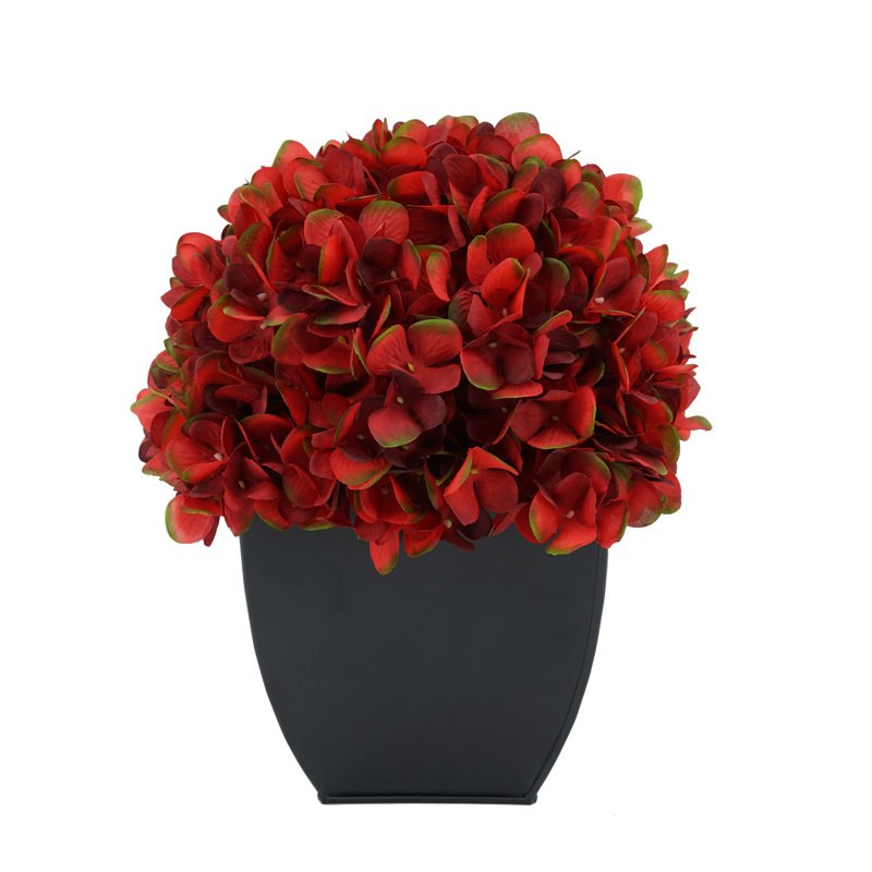 Arrangement floral hortensia en pot, Bourgogne