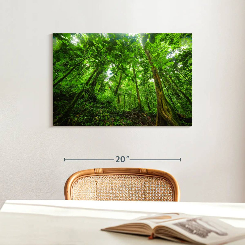 Alvord Basse-Terre Jungle, 16" H x 24" W
