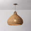 Lechlan 1 Light Pendant-1333587803