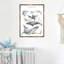 Art encadré Maone Ocean Animals-1337985109