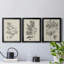 «Antique Black and White Botanical IV», ensemble de 3 peintures sur toile encadrées-508101476-508101472