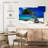Divi Divi Tree Aruba Lesser Antilles-1817326158