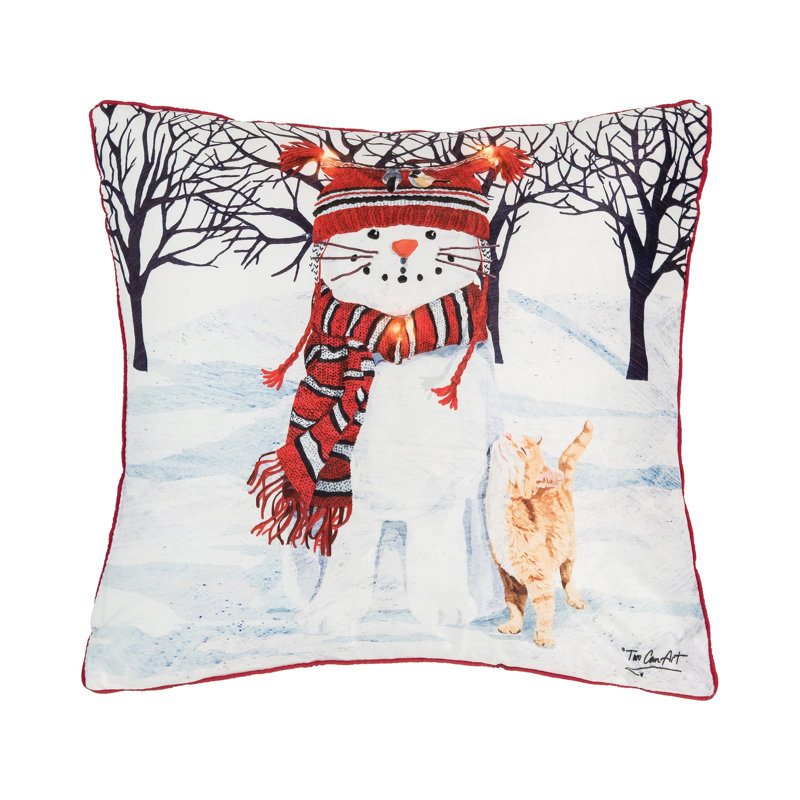 Coussin Aswath