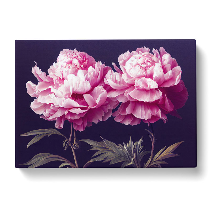 Splendorous Peony Flowers - Wrapped Canvas, 35cm H x 50cm W