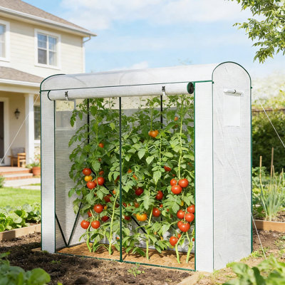 Mini Greenhouse, Modern Greenhouse For Outdoor