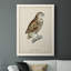 Lunde French Owls I - Reproduction de photo sur toile simple-88378211-88378212