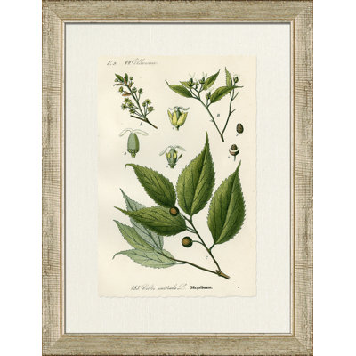 Burgelbaum - Cadre photo, impression sur papier