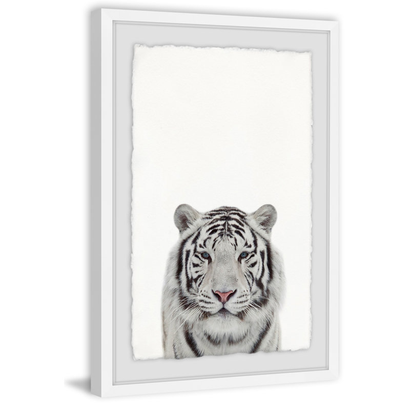 Tamed Tiger - Single Picture Frame Print, 91 cm H x 61 cm W