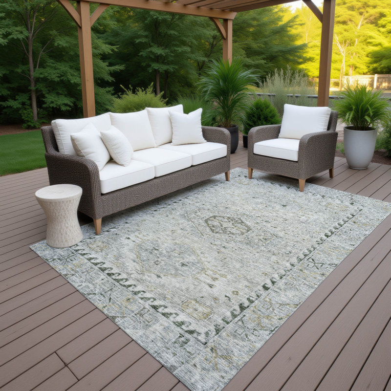 Machine Washable Indoor/Outdoor Earleville ACN2357 Traditional Rug, Rectangle 9' x 12'