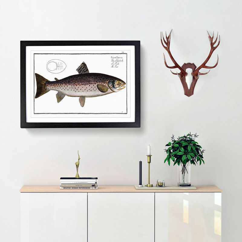 Brown Trout Fish by M.E. Bloch - Picture Frame Art Print, 27cm H x 36cm W x 2cm D, Black Framed