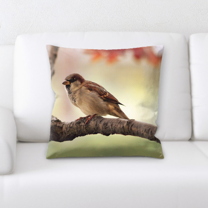 Coussin sparrow