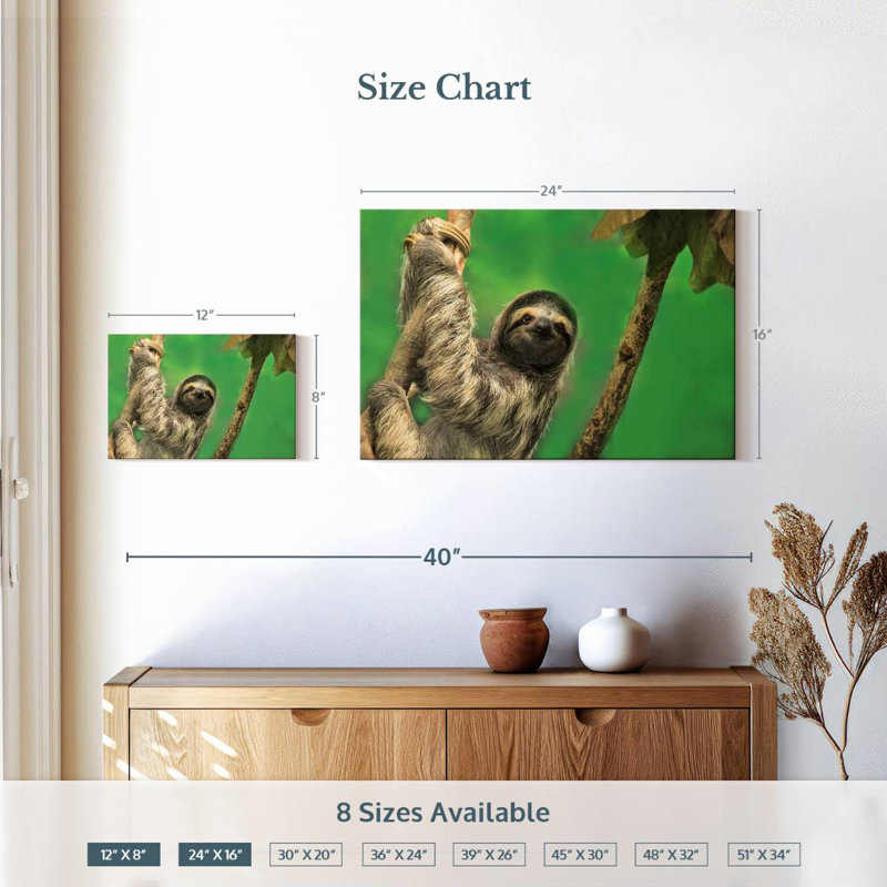 Clinging Sloth, 16" H x 24" W