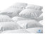 Mulhouse Down Comforter-326483806
