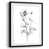 Black Framed Paper is unavailable