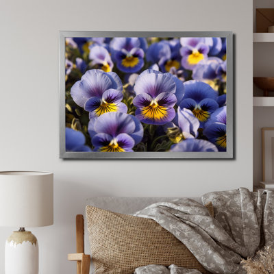 " Purple Yellow Pansies Harmony II "