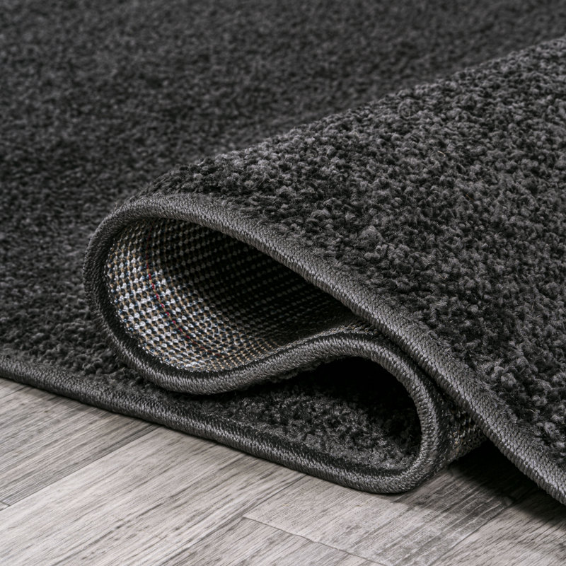 Tapis noir Asaldis, Tapis de couloir 2 pi x 12 pi