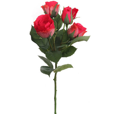 Roses