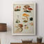 Mushroom Species IV, peinture sur toile encadrée-88440591-88440592