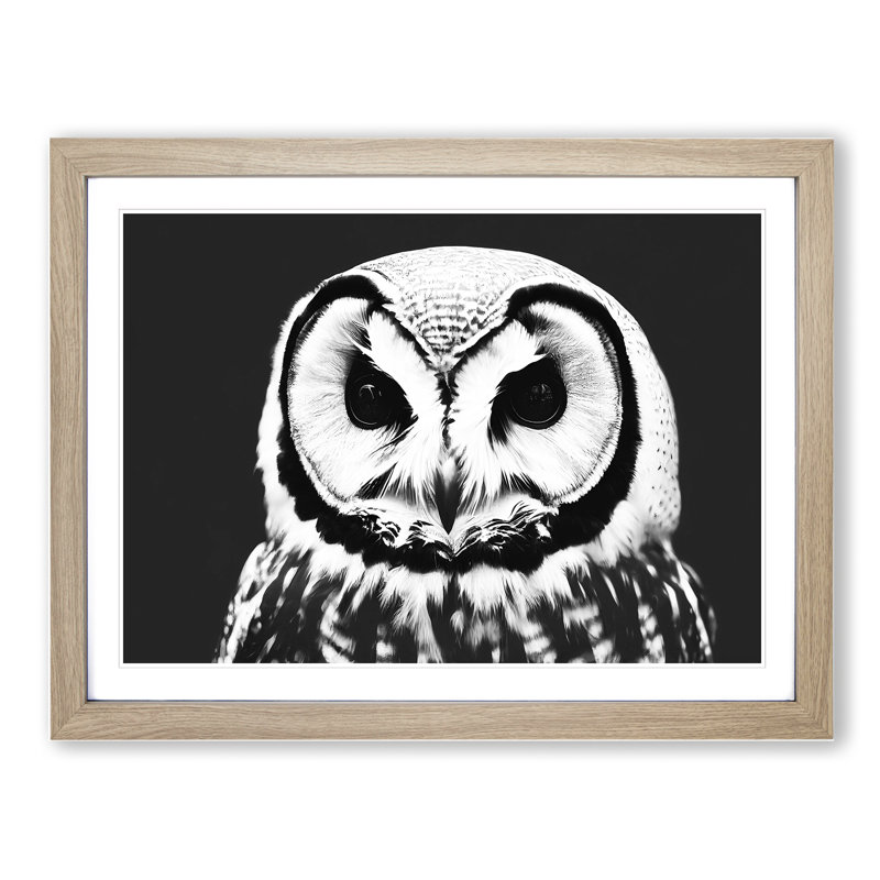 XH1022-6549X Owl Portrait Monochrome Vol.1 - Single Picture Frame Print, 46cm H x 64cm W, Grey