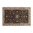 Turkish Brown Indoor and Outdoor Area Rug-792802122