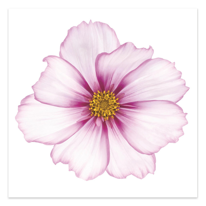 « magenta cosmo on white », impression sur verre