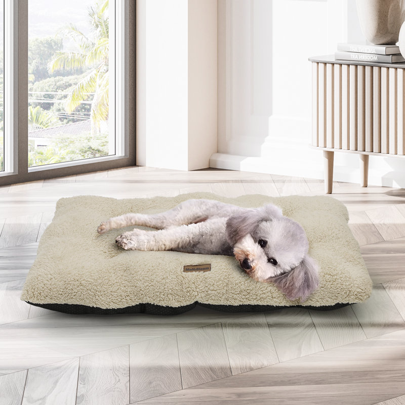 Lit pour chien moelleux pour animaux de compagnie, matelas de lit pour chien moelleux avec fond antidérapant, lavable à la machine