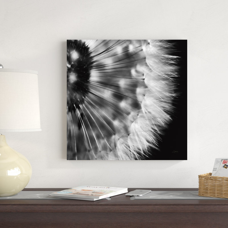Dandelion on Black III par Aledanda - Photographie sur toile tendue, H 20 po x l 20 po x P 1,25 po
