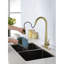 Modern Gold Stainless Steel Kitchen Faucet, Pull Down , 4.2 Lb Package, Sleek Look Steel, Single Handle, 9.85 In Depth Sink-121598728