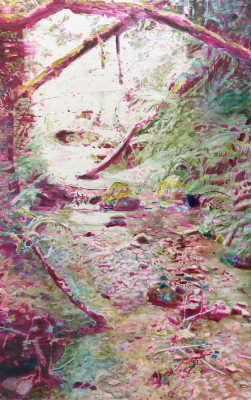 Vibrant Forest Stream Print by Other Artist, Size, Frame Color, Format