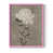 Rose sélectionné
