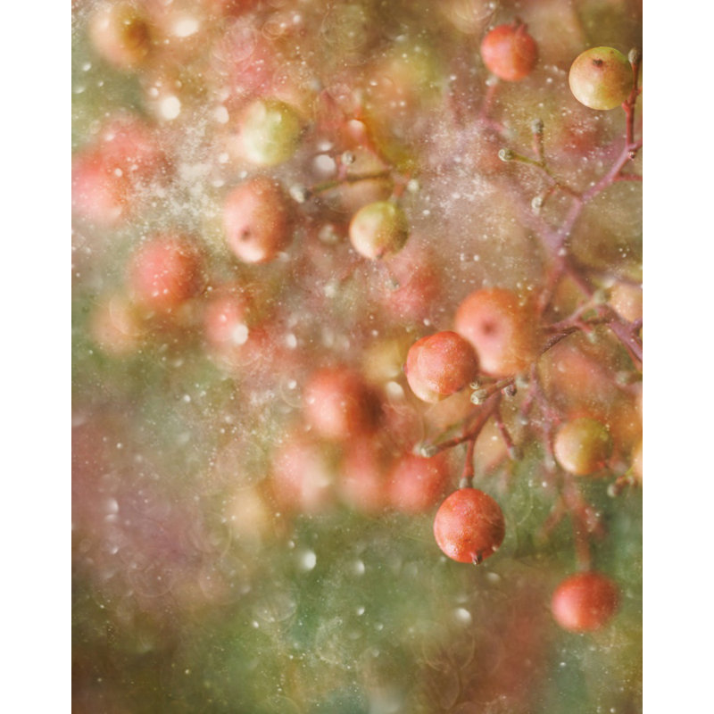 Wrapped Canvas Print, 50.8 cm H x 76.2 cm W