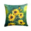 Coussin Kentucky-114457616