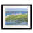 Black Framed Canvas is unavailable