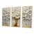 Natural Floater Framed Canvas