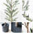 Artificial Tall Olive Tree With Pot-79408758