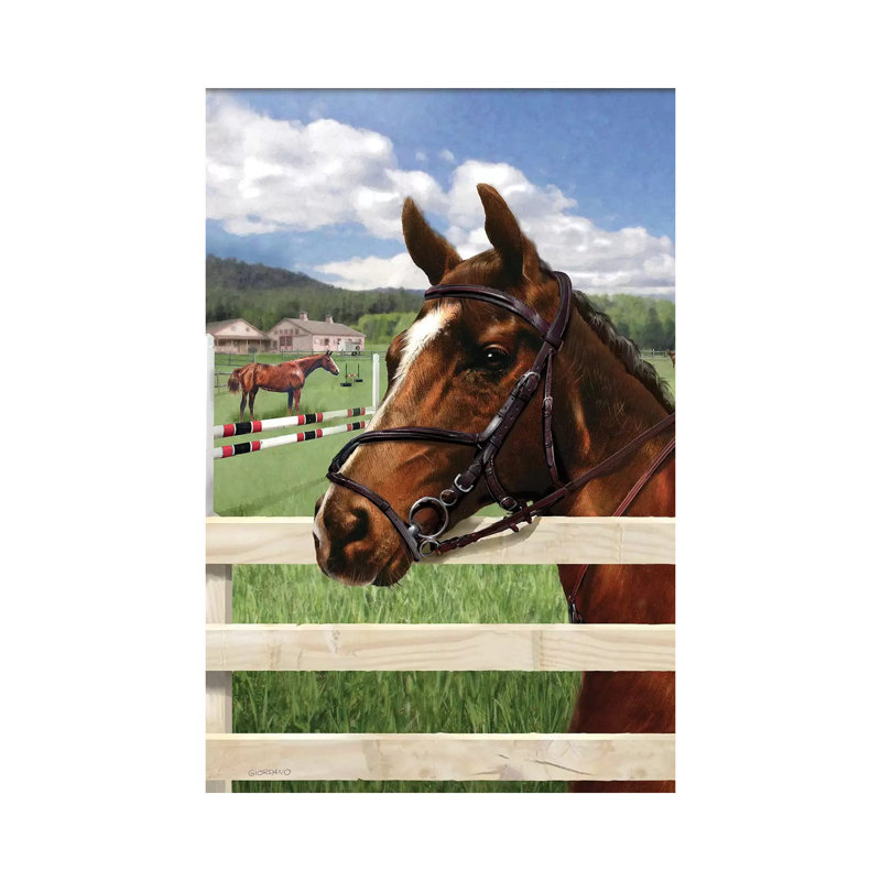 Fella At The Fence - Wrapped Canvas Print, 101.6 cm H x 66.04 cm W x 1.91 cm D
