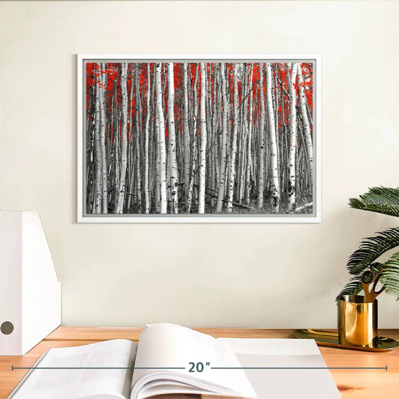 Forêt de bouleaux rouges, Cadre flottant blanc, 13 po x 9 po
