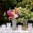 Trellis 9" Flared Vase-109763345