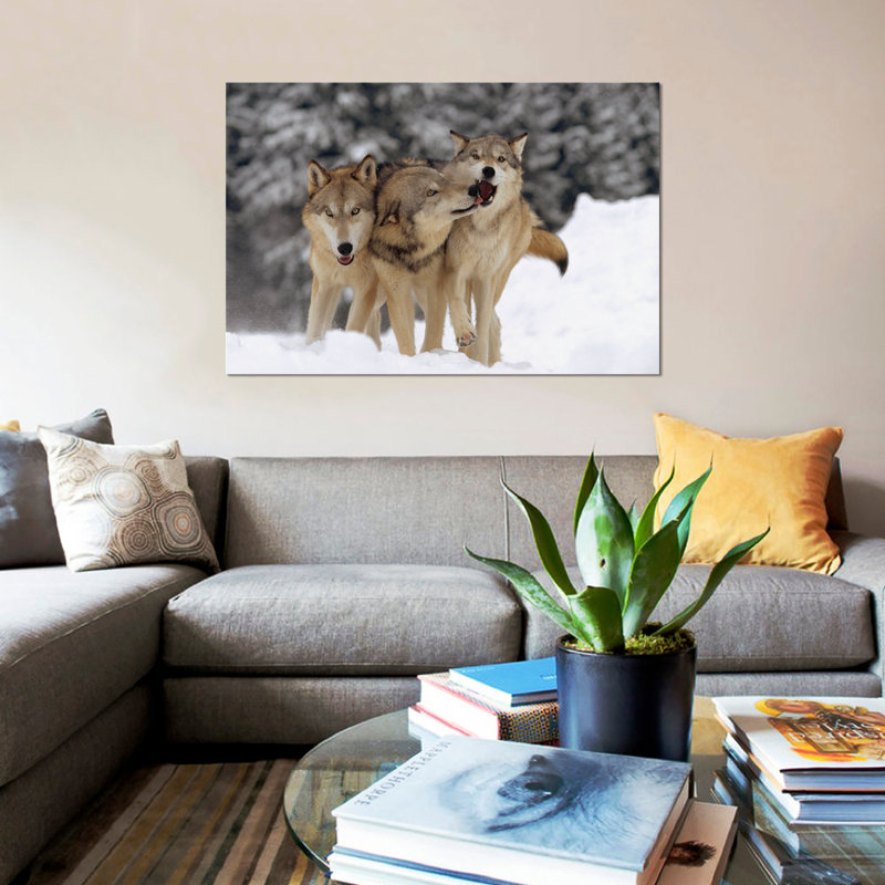 «Timber Wolf Trio jouant dans la neige, Montana», reproduction de photo sur toile, H 8 po x l 12 po x P 0,75 po, Pas de tapis