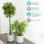 Aben Pot Planter-1836459497