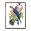 Oiseaux d'époque II - peinture sur toile-59814370-59814379