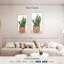 Cactus en pot II-999506549
