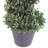 120cm Faux Boxwood Topiary in Pot Liner
